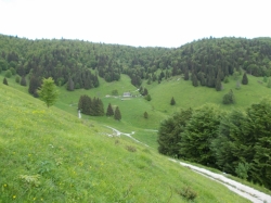 costruzione-linee-elettriche-val-dell-albero