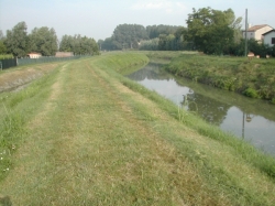 Messa in sicurezza argine sul Rio Serraglio