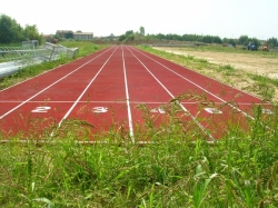 pista-atletica